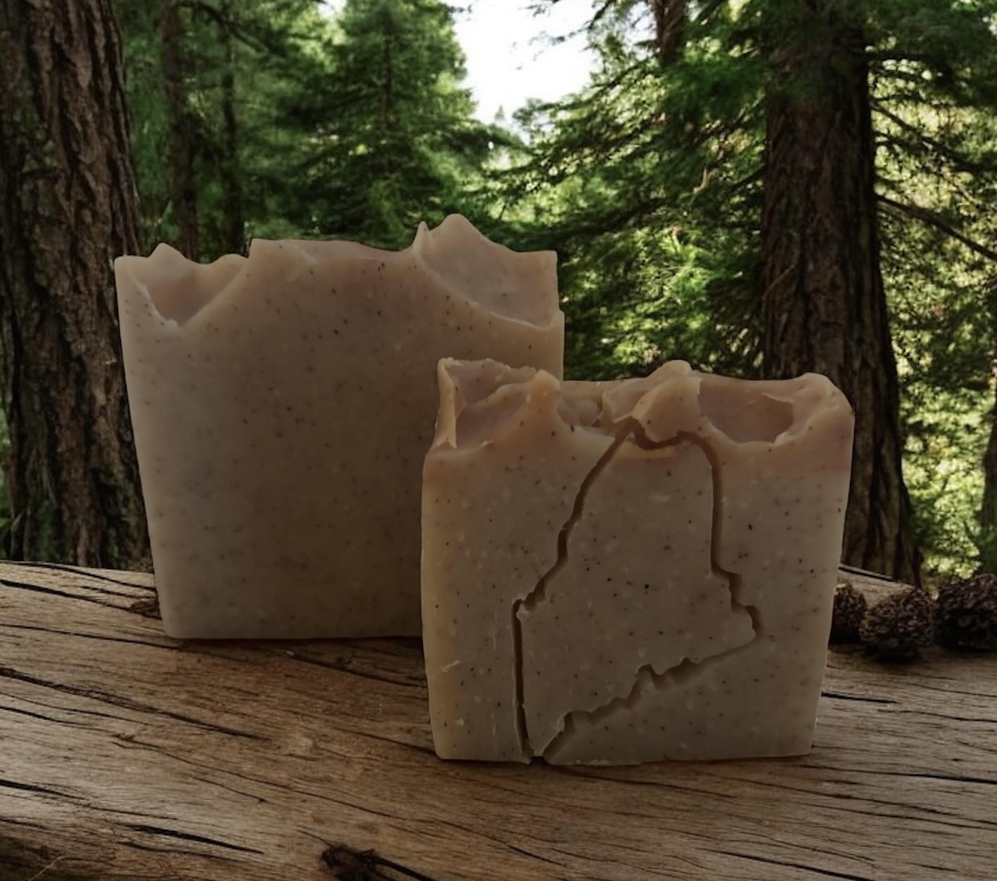 Northern Woods Lather & Scrub